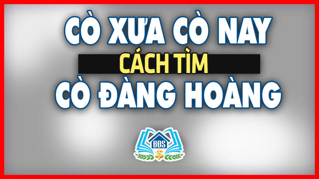 Co-Nay-Va-Co-Xua-Cach-Tim-Co-Dang-Hoang