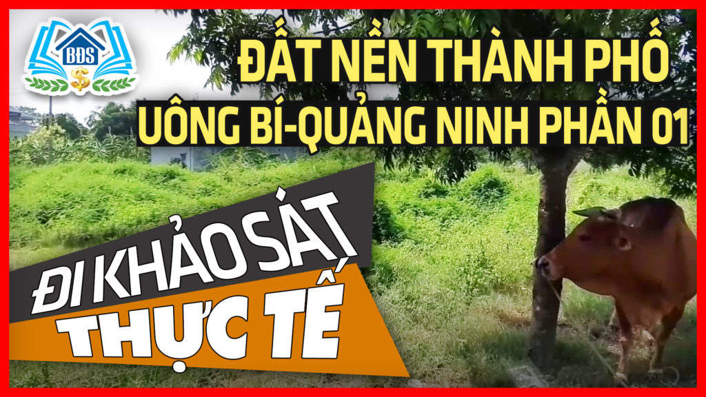 KHAO-SAT-THUC-TE-DAT-NEN-THANH-PHO-UONG-BI-QUANG-NINH