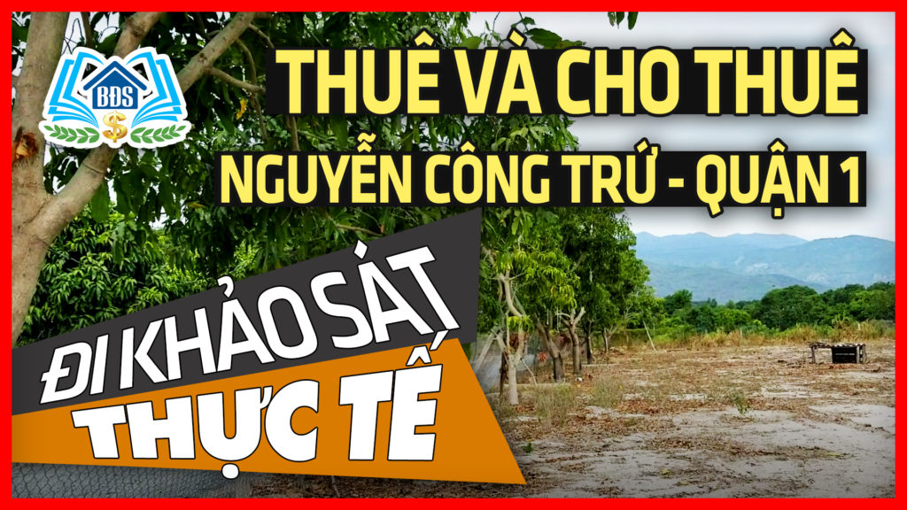 Khao-Sat-Thue-Va-Cho-Thue-Nguyen-Cong-Tru-Quan-1-360p